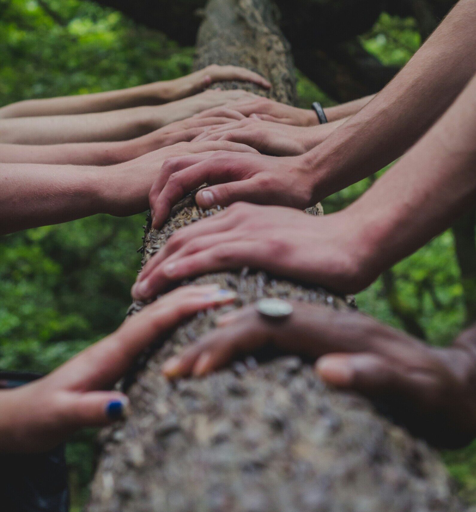 Foto di Shane Rounce su Unsplash